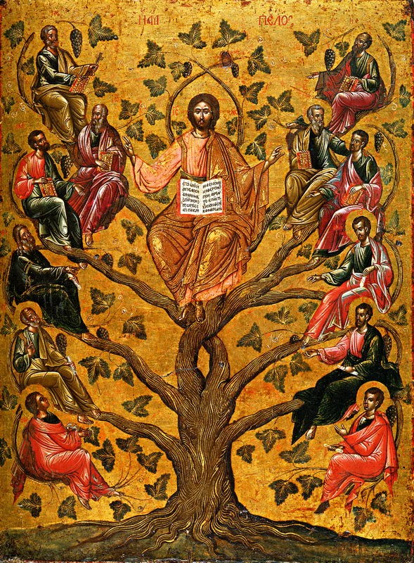A gold-ground icon. A gnarled vine rises from the earth at the bottom of the panel and spreads into heavy curling branches. Christ sits enthroned in the crown of it, holding an open book. Twelve apostles are seated along the branches, six on each side, each holding a book or scroll, among vine leaves and clusters of dark grapes. Greek letters are painted in red across the gold at the top