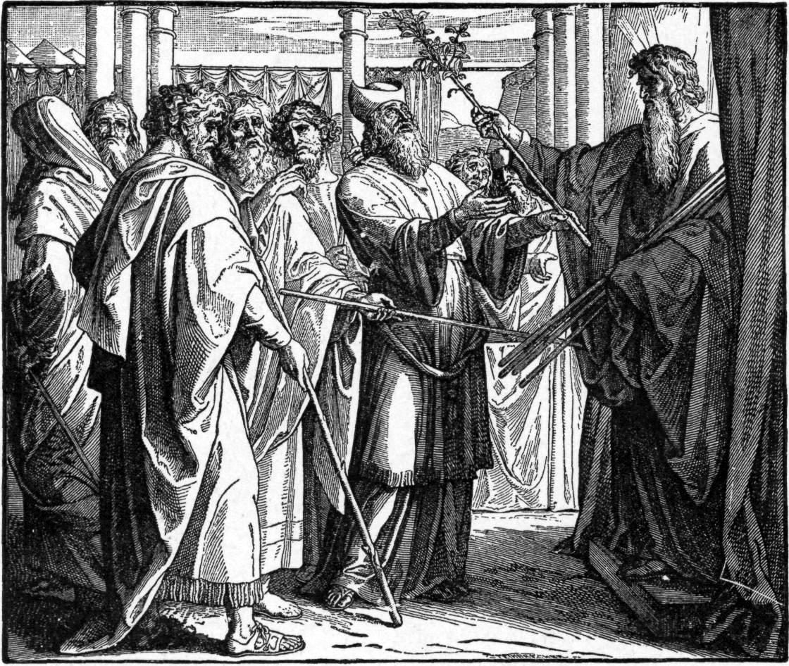A black-and-white woodcut. A group of bearded men in robes stand holding plain straight staffs. At the right, a figure with rays of light rising from his head holds a bundle of more staffs and hands them out. In the centre, a man in a tall priestly mitre raises one staff above the others — and it alone has sprouted, its top breaking into leaves and blossom. Curtains and columns stand behind them.