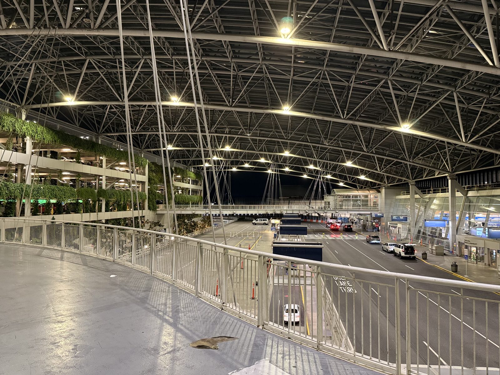 A skybridge inside Portland International Airport's terminal at night, with a curved steel-and-glass canopy overhead, a living wall of trailing plants along one side, and the curbside pickup lanes with cars and taxis visible through the glass below