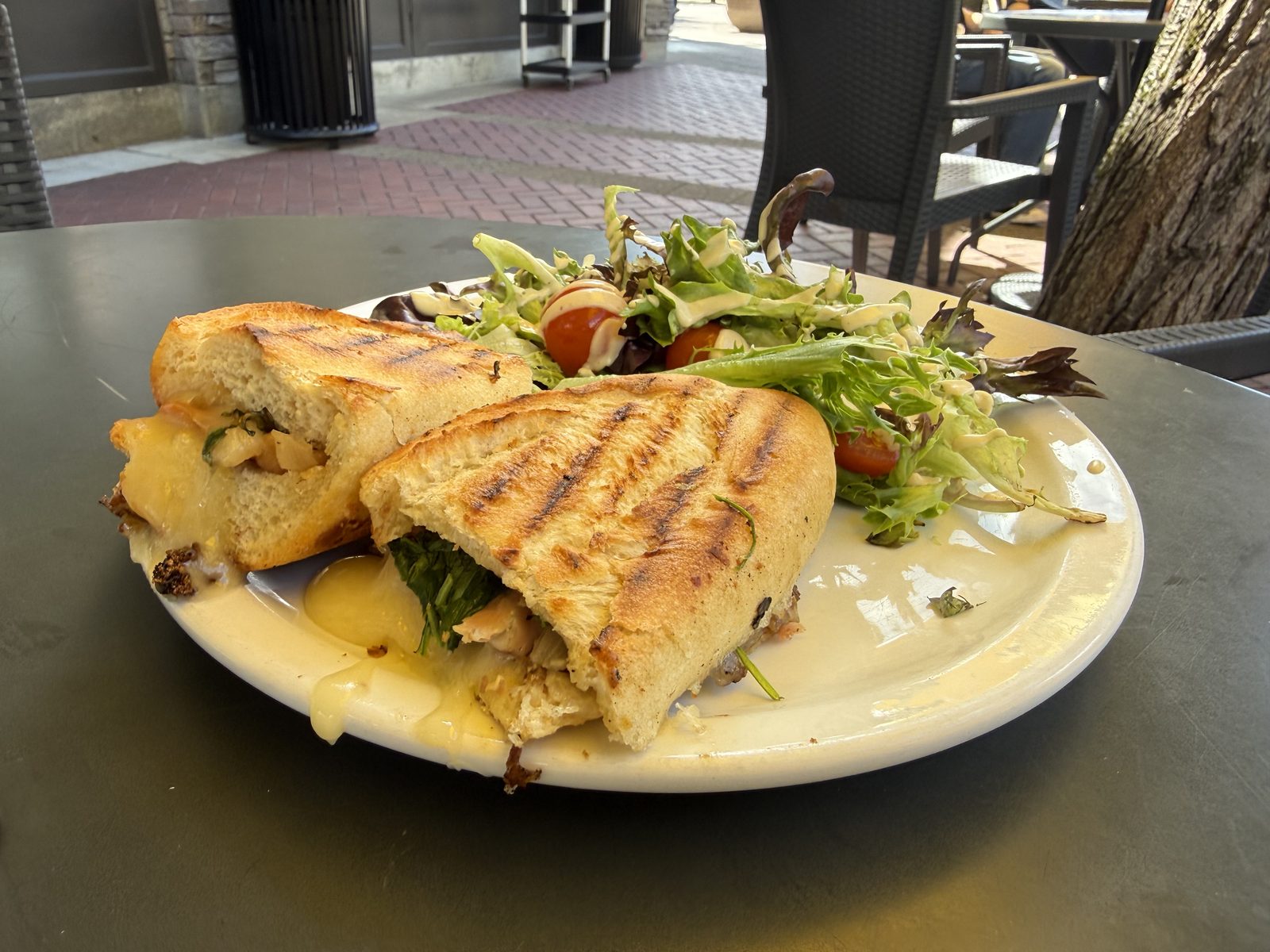 A grilled prosciutto and brie panini, cut in half and fanned open on a white plate, next to a side salad of mixed greens and cherry tomatoes